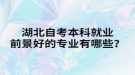 湖北自考本科就業(yè)前景好的專業(yè)有哪些？