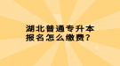 湖北普通專升本報(bào)名怎么繳費(fèi)？