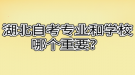 湖北自考專業(yè)和學(xué)校哪個(gè)重要？