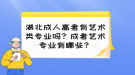 湖北成人高考有藝術(shù)類專業(yè)嗎？成考藝術(shù)專業(yè)有哪些？