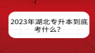 2023年湖北專升本到底考什么？