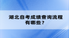 湖北自考成績(jī)查詢流程有哪些？