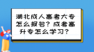 湖北成人高考大專怎么報(bào)名？成考高升專怎么學(xué)習(xí)？