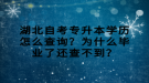 湖北自考專升本學(xué)歷怎么查詢？為什么畢業(yè)了還查不到？