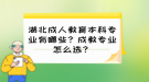 湖北成人教育本科專業(yè)有哪些？成教專業(yè)怎么選？