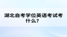 湖北自考學位英語考試考什么？