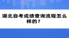 湖北自考成績(jī)查詢流程怎么樣的？