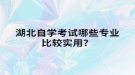 湖北自學考試哪些專業(yè)比較實用？