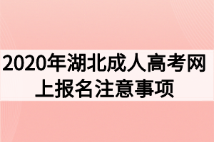 2020年湖北成人高考網(wǎng)上報名注意事項