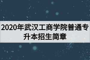 2020年武漢工商學(xué)院普通專升本招生簡(jiǎn)章