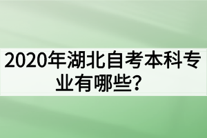 2020年湖北自考本科專業(yè)有哪些？哪些專業(yè)的就業(yè)前景好