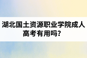 湖北國土資源職業(yè)學院成人高考有用嗎？學習采取的是什么方式？