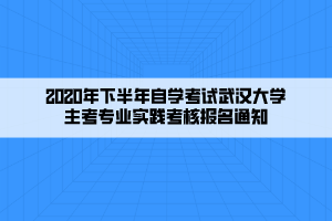 2020年下半年自學(xué)考試武漢大學(xué)主考專(zhuān)業(yè)實(shí)踐考核報(bào)名通知