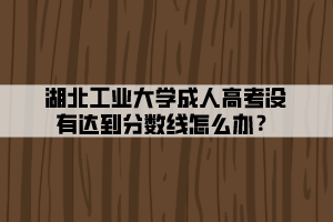 湖北工業(yè)大學(xué)成人高考沒有達(dá)到分?jǐn)?shù)線怎么辦？