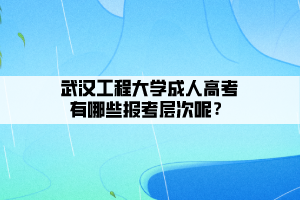 武漢工程大學成人高考有哪些報考層次呢？