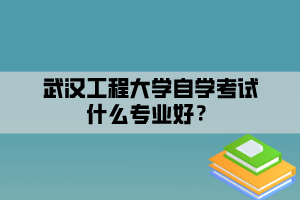 武漢工程大學(xué)自學(xué)考試什么專業(yè)好？