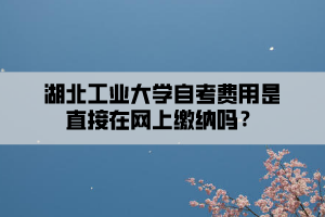 湖北工業(yè)大學自考費用是直接在網(wǎng)上繳納嗎？