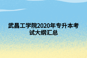 武昌工學(xué)院2020年專升本考試大綱匯總