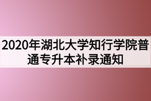 2020年湖北大學知行學院普通專升本補錄通知