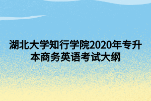 湖北大學(xué)知行學(xué)院2020年專升本商務(wù)英語(yǔ)考試大綱