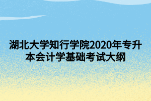 湖北大學(xué)知行學(xué)院2020年專升本會(huì)計(jì)學(xué)基礎(chǔ)考試大綱