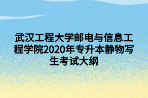 武漢工程大學郵電與信息工程學院2020年專升本靜物寫生考試大綱