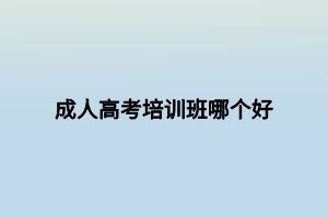 成人高考培訓班哪個好