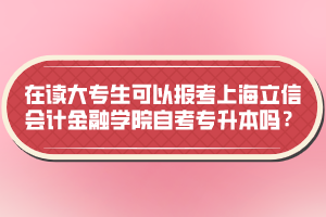 在讀大專生可以報考上海立信會計金融學院自考專升本嗎？