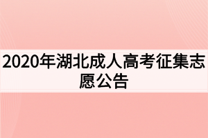 2020年湖北成人高考征集志愿公告