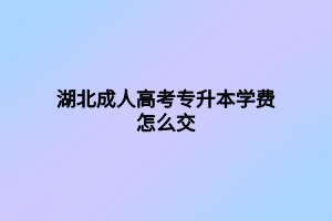 湖北成人高考專(zhuān)升本學(xué)費(fèi)怎么交