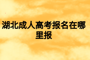 湖北成人高考報(bào)名在哪里報(bào)