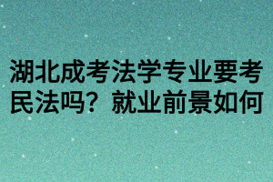 湖北成考法學(xué)專業(yè)要考民法嗎？就業(yè)前景如何