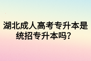 湖北成人高考專升本是統(tǒng)招專升本嗎？