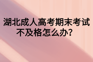 湖北成人高考期末考試不及格怎么辦？