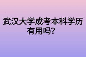 武漢大學(xué)成考本科學(xué)歷有用嗎？