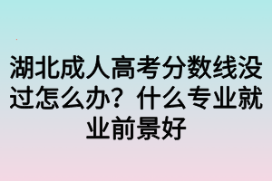 湖北成人高考分?jǐn)?shù)線沒過怎么辦？什么專業(yè)就業(yè)前景好