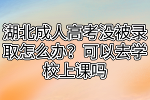 湖北成人高考沒被錄取怎么辦？可以去學校上課嗎