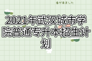 2021年武漢城市學(xué)院普通專升本招生計劃