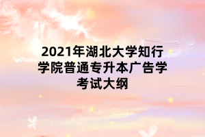 2021年湖北大學知行學院普通專升本廣告學考試大綱