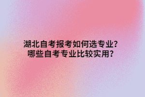 湖北自考報(bào)考如何選專業(yè)？哪些自考專業(yè)比較實(shí)用？