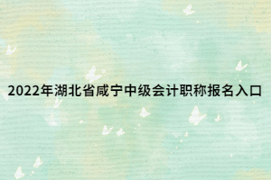 2022年湖北省咸寧中級(jí)會(huì)計(jì)職稱報(bào)名入口