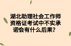 湖北助理社會(huì)工作師資格證考試中不實(shí)承諾會(huì)有什么后果？