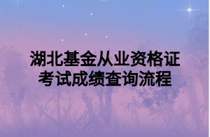 湖北基金從業(yè)資格證考試成績查詢流程