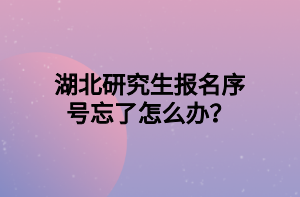 湖北研究生報(bào)名序號(hào)忘了怎么辦？