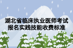 湖北省臨床執(zhí)業(yè)醫(yī)師考試報名實踐技能收費標準