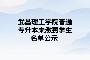 武昌理工學(xué)院普通專升本未繳費學(xué)生名單公示