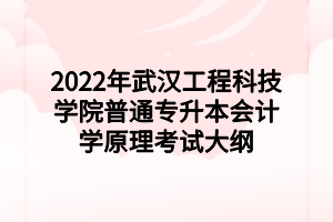 2022年武漢工程科技學院普通專升本會計學原理考試大綱