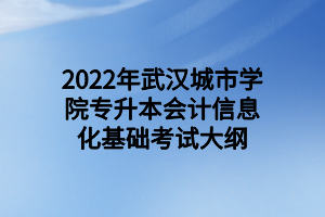 2022年武漢城市學(xué)院專升本會(huì)計(jì)信息化基礎(chǔ)考試大綱