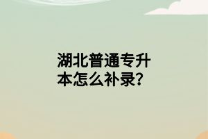 湖北普通專升本怎么補(bǔ)錄？