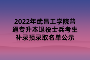 2022年武昌工學(xué)院普通專升本退役士兵考生補錄預(yù)錄取名單公示